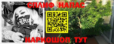 молекула духа Пенза