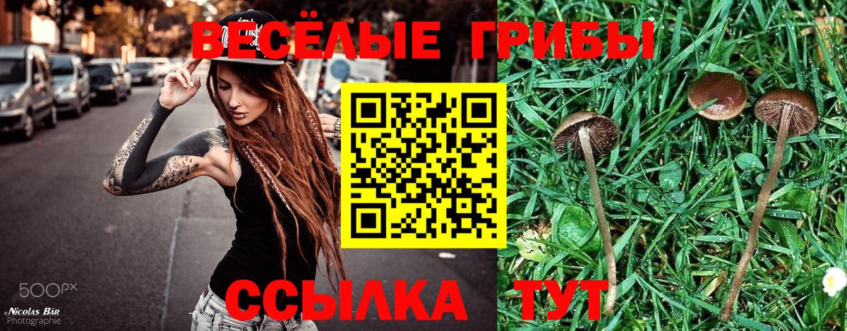 Псилоцибиновые грибы Magic Shrooms  Галлюциногенные грибы мицелий  купить наркотик  Сертолово  Вход с VPN 